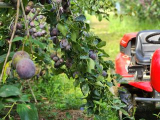 봉화랜드님의 연말인사 함께 나눠요 · 참여글 작성글 사진