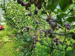 봉화랜드님의 연말인사 함께 나눠요 · 참여글 작성글 사진