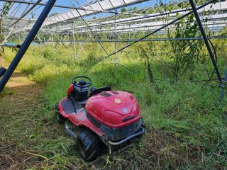 봉화랜드님의 연말인사 함께 나눠요 · 참여글 작성글 사진