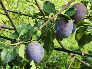 봉화랜드님의 연말인사 함께 나눠요 · 참여글 작성글 사진