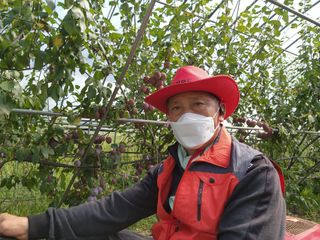 봉화랜드님의 연말인사 함께 나눠요 · 참여글 작성글 사진