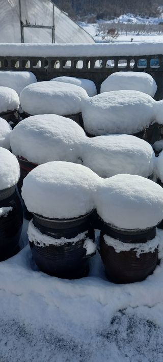 강성분님의 연말인사 함께 나눠요 · 참여글 작성글 사진