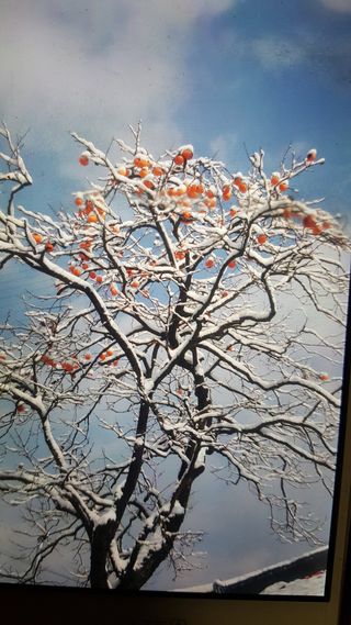 강성분님의 연말인사 함께 나눠요 · 참여글 작성글 사진