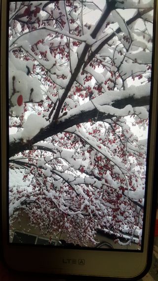 강성분님의 연말인사 함께 나눠요 · 참여글 작성글 사진