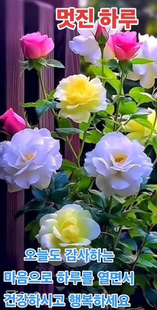 혁이네농원님의 연말인사 함께 나눠요 · 참여글 작성글 사진