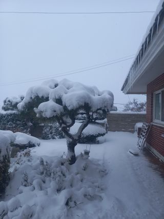 최유순님의 팜모닝공식 · 광고승인요청 작성글 사진