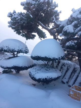 최유순님의 팜모닝공식 · 광고승인요청 작성글 사진