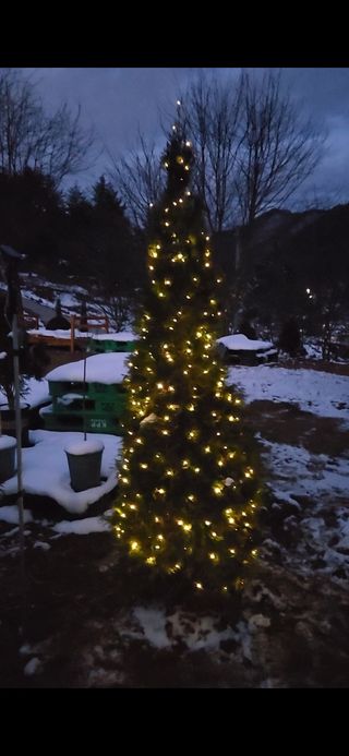 연지골농원_단야님의 연말인사 함께 나눠요 · 참여글 작성글 사진