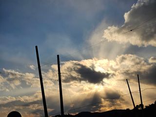 안성화님의 딸기 · 온도 관리 작성글 사진