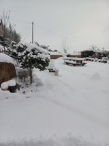 팜모닝 연말인사 함께 나눠요·참여글 게시글 이미지