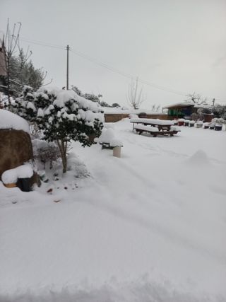 김경란님의 연말인사 함께 나눠요 · 참여글 작성글 사진