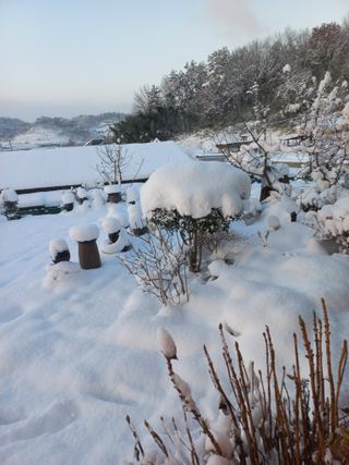 김경란님의 연말인사 함께 나눠요 · 참여글 작성글 사진