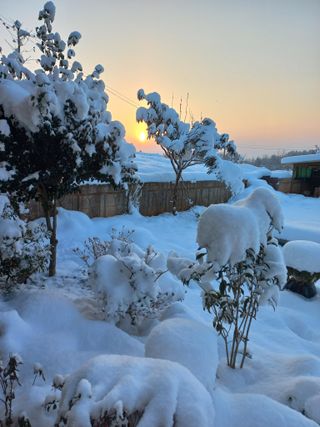 김경란님의 연말인사 함께 나눠요 · 참여글 작성글 사진