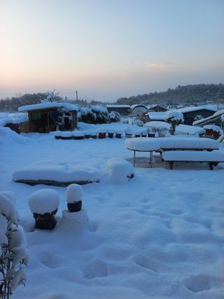 김경란님의 연말인사 함께 나눠요 · 참여글 작성글 사진