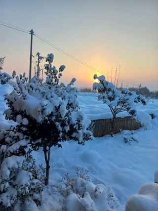 김경란님의 연말인사 함께 나눠요 · 참여글 작성글 사진