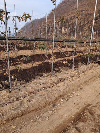 권도명님의 연말인사 함께 나눠요 · 참여글 작성글 사진