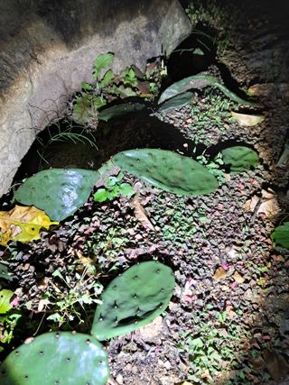 권도명님의 연말인사 함께 나눠요 · 참여글 작성글 사진