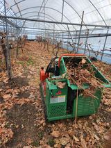 팜모닝 포도·영농일지 게시글 이미지