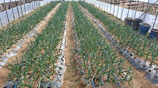 봉희종님의 연말인사 함께 나눠요 · 참여글 작성글 사진