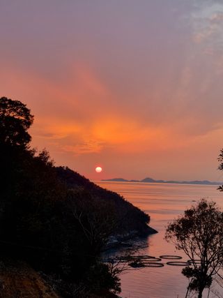 이문규님의 연말인사 함께 나눠요 · 참여글 작성글 사진