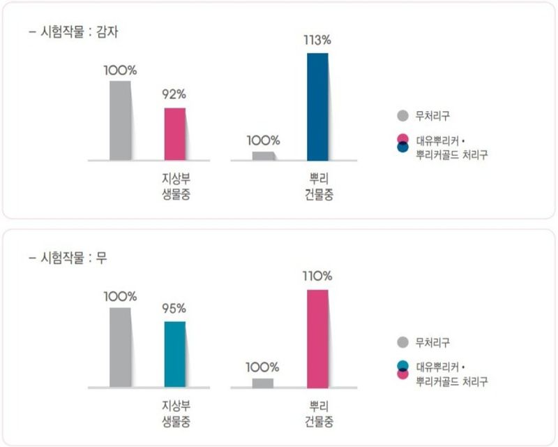 한농농약종묘사님의 장터 판매 상품 [뿌리크게해주는 영양제(마늘,감자,고구마,양파,생강,당근,무 등)] 첨부 사진
