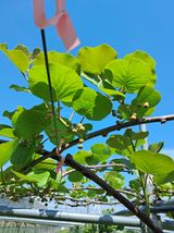 팜모닝 기타작물·자유게시판 게시글 이미지