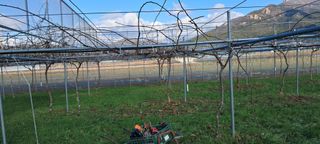 강춘원님의 기타작물 · 자유게시판 작성글 사진