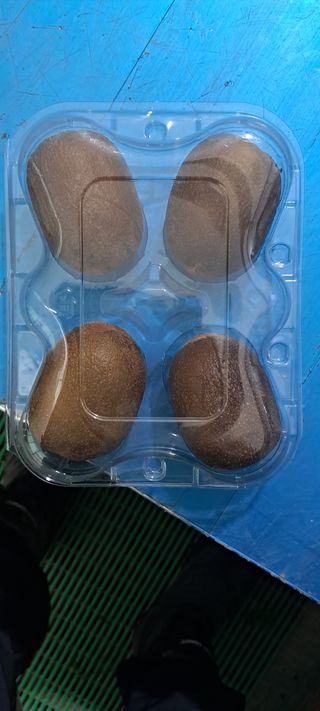 강춘원님의 기타작물 · 자유게시판 작성글 사진