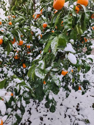 팜모닝회원백현선님의 연말인사 함께 나눠요 · 참여글 작성글 사진