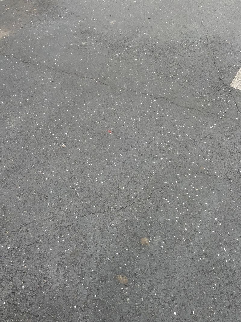 자재스토어님의 장터 판매 상품 [아폴로 동력살포기 비료 염화칼슘 살포기 입제 분사기] 첨부 사진