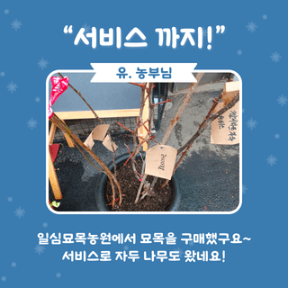 팜모닝님의 팜모닝공식 · 농사정보 작성글 사진