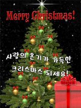 팜모닝 연말결산 자랑하기·참여글 게시글 이미지