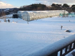 예지농장님의 연말결산 자랑하기 · 참여글 작성글 사진