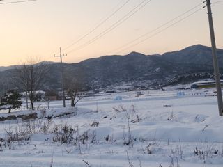 예지농장님의 연말결산 자랑하기 · 참여글 작성글 사진