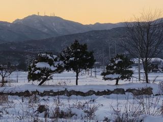 예지농장님의 연말결산 자랑하기 · 참여글 작성글 사진