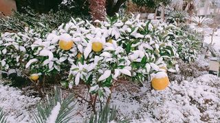 홍촌님의 연말결산 자랑하기 · 참여글 작성글 사진