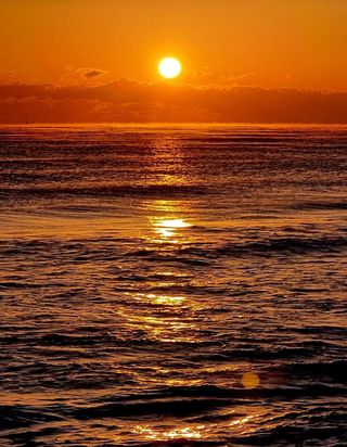 홍촌님의 연말결산 자랑하기 · 참여글 작성글 사진