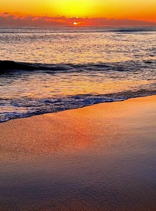 홍촌님의 연말결산 자랑하기 · 참여글 작성글 사진