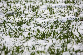 홍촌님의 연말결산 자랑하기 · 참여글 작성글 사진