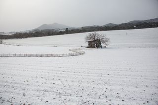 홍촌님의 연말결산 자랑하기 · 참여글 작성글 사진
