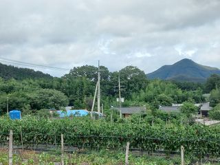 신토불이자연인님의 연말인사 함께 나눠요 · 참여글 작성글 사진
