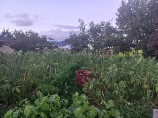 신토불이자연인님의 연말인사 함께 나눠요 · 참여글 작성글 사진