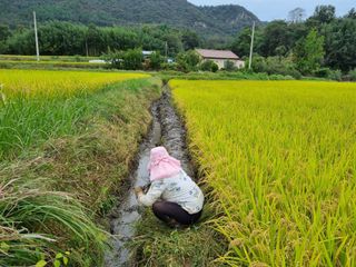 신토불이자연인님의 연말인사 함께 나눠요 · 참여글 작성글 사진