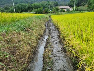 신토불이자연인님의 연말인사 함께 나눠요 · 참여글 작성글 사진