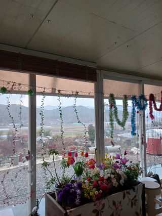 덕촌님의 자유주제 · 자유게시판 작성글 사진