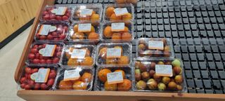 대삼팜스빌리지님의 기타작물 · 자유게시판 작성글 사진