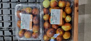 대삼팜스빌리지님의 기타작물 · 자유게시판 작성글 사진