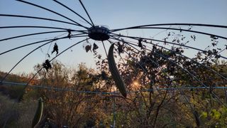 함박웃음님의 연말결산 자랑하기 · 참여글 작성글 사진