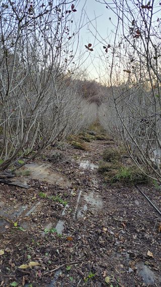 함박웃음님의 연말결산 자랑하기 · 참여글 작성글 사진