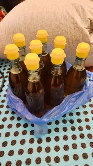 운악산돌밭포도님의 작성글 사진